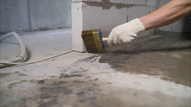Top rated local Crawl Space Encapsulation specialists in Fairview, NC
